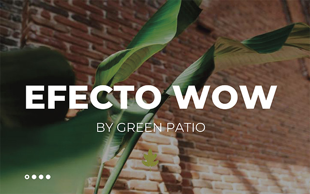Efecto WoW by Green Patio